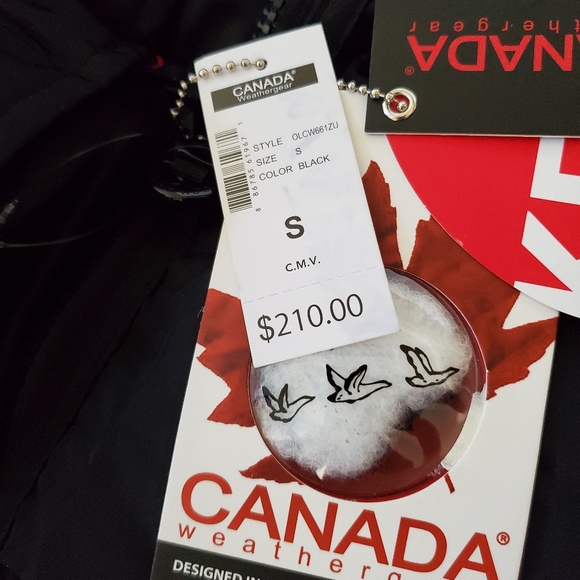 Coat - Picture 14 of 16